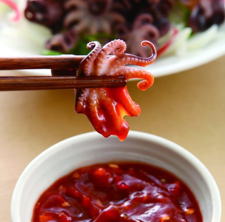 食谱:五味章鱼(2)
