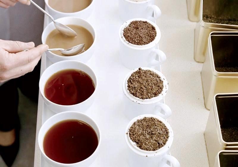 如何品出顶级的茶叶？在室温25℃试饮才专业！