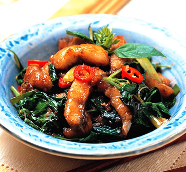 食谱:沙茶炒鳗鱼