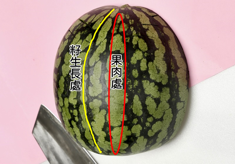 学起来 原来切西瓜还有这些方法 菜谱食谱侦探 学起来 原来切西瓜还有这些方法 菜谱食谱侦探