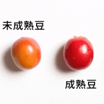 想在家泡出达人级咖啡？先学会挑选优质咖啡豆！