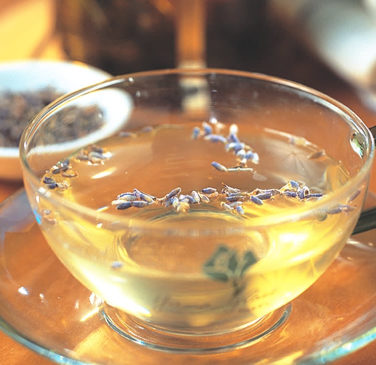 食谱:薄荷薰衣草茶