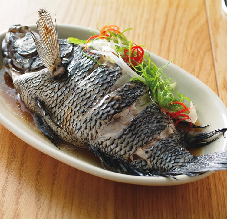 食谱:清蒸鲜鱼(3)