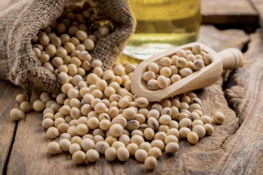 卫福部「豆鱼蛋肉一掌心」为什么豆类排第一？营养师教你优质蛋白质这样吃